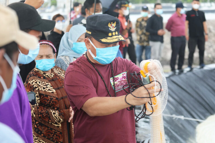 Gubernur Sugianto: Bangun Shrimp Estate, Pulihkan Perekonomian di Tengah Pandemi Covid-19