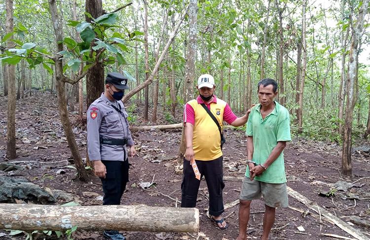 Berdalih Potong Bagian Atas Pohon Tumbang, Pencuri Kayu di Hutan Paliyan Ditangkap Polisi  