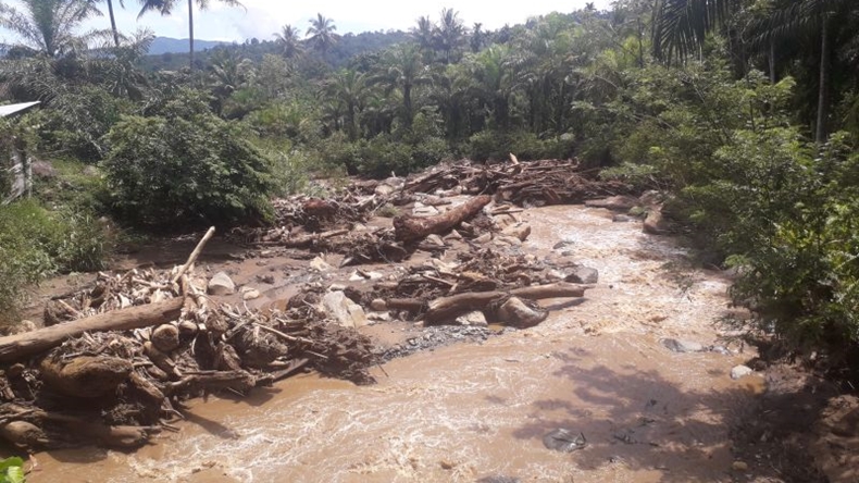 Sungai Batang Sopan Dipenuhi Kayu, Warga Pasaman Barat Khawatir Banjir