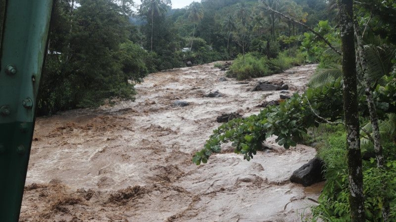 Sungai di Talamau Pasaman Barat Meluap, Bawa Kayu dan Batu