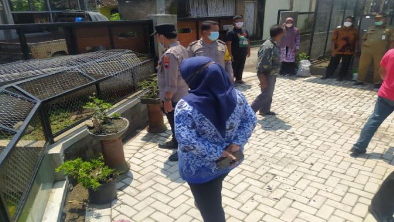 Klaten Geger, Buaya Peliharaan Lepas Berkeliaran di Persawahan