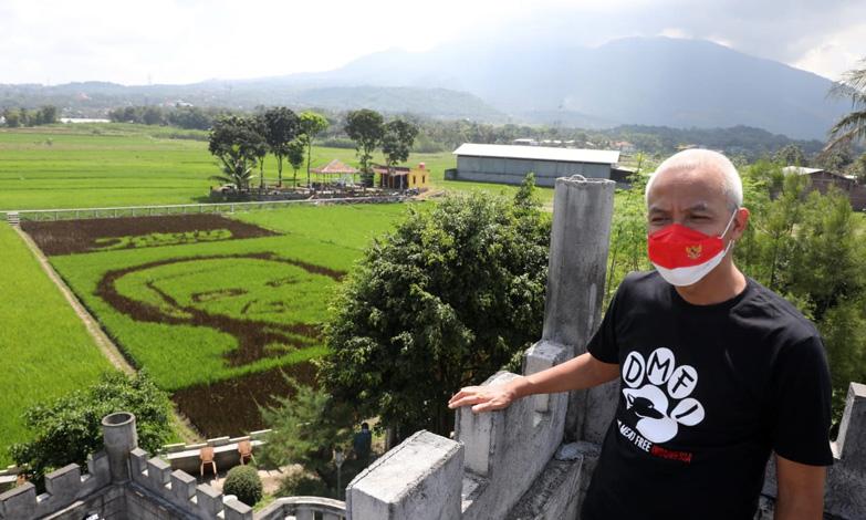 Ganjar Lihat Lukisan Wajahnya di Tengah Sawah: Ternyata Memang Mirip Banget Ya