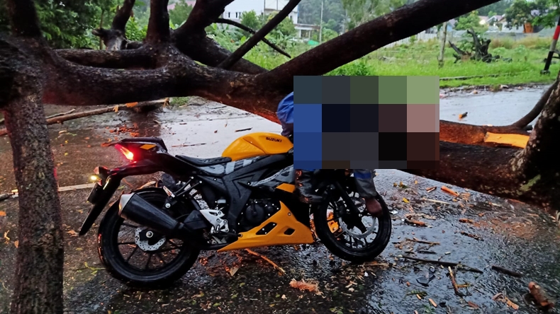 Tabrak Pohon Tumbang, Pria di Samarinda Tewas Seketika