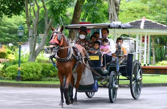 Gaya Jokowi Naik Delman Bareng Cucu Curi Perhatian, Warganet Salah Fokus Sandal Jepit