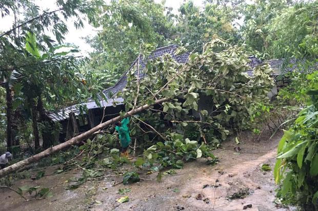 4 Kecamatan di Gunungkidul Terdampak Hujan Deras dan Angin Kencang    