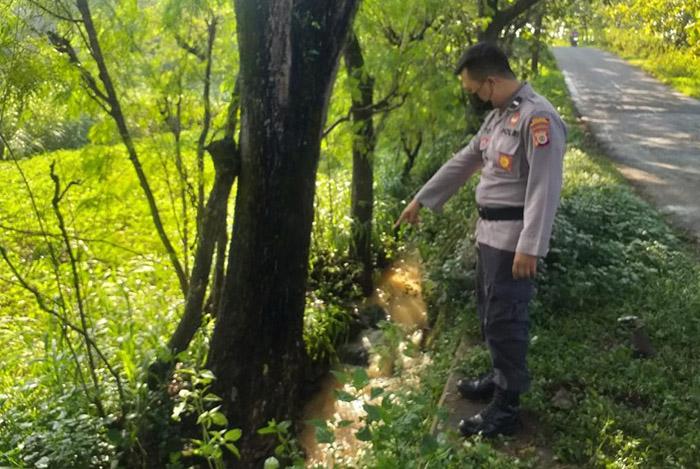 Tragis, Pelajar di Gunungkidul Tewas Tabrak Pohon usai Antar Ayah ke Pasar