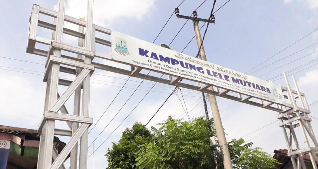 Mimpi Ahmad Husnaeni Bangun Desa Wisata Lele di Karawang (Bagian I)