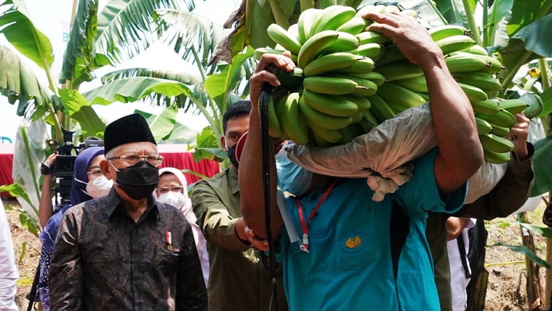 Wapres Ma'ruf Amin: Makan Dua Pisang, Tidak Perlu Makan Nasi