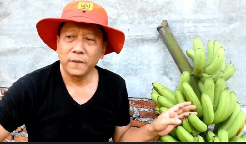  Manfaatkan Lahan Mangkrak, ASN Kendal Ini Sukses Budi Daya Pisang Mulyo