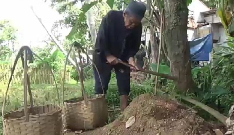 Kisah Miris Kakek Pencari Pasir di Sukabumi, Hidup Andalkan Rp5.000 per Keranjang 