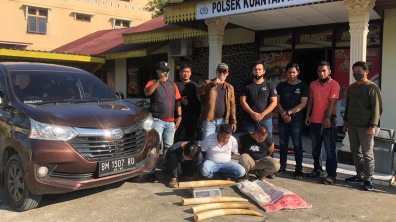Polda Riau Bongkar Penjualan Gading Gajah, 3 Pelaku Ditangkap