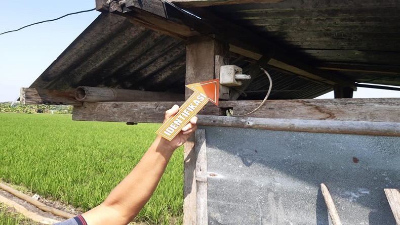 Sragen Gempar, Seorang Pria Tewas Tersengat Listrik Jebakan Tikus di Sawah  
