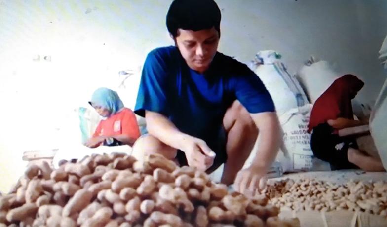 Kesulitan Bahan Baku, Perajin Kacang Oven di Boyolali Kewalahan Layani Permintaan
