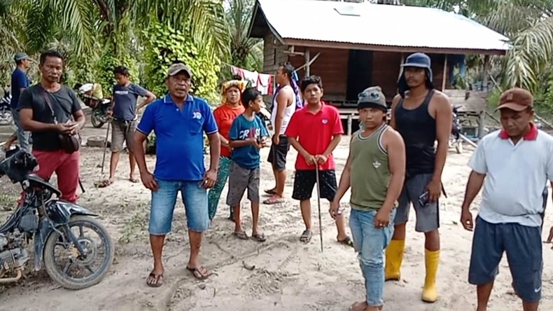 Cerita Pekerja Kebun Sawit, Berhadapan hingga Senggolan dengan Harimau
