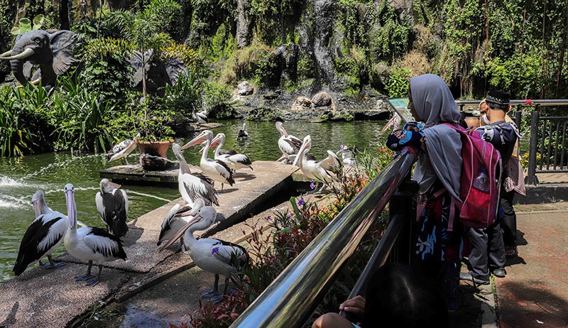 Puncak Kunjungan di Ragunan Diprediksi Besok, Bakal Ada 60.000 Wisatawan