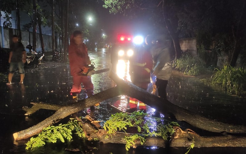 Hujan Lebat Disertai Angin Kencang Picu Banjir dan Pohon Tumbang di Kota Tangerang