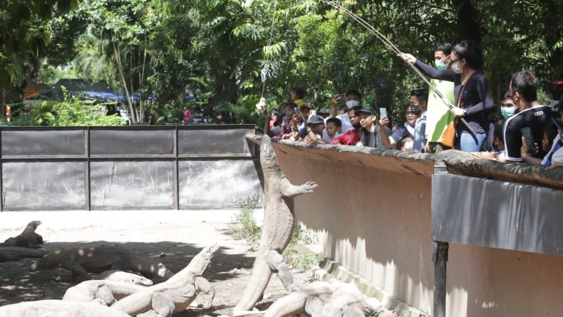 Warga Surabaya Isi Liburan Lebaran di KBS, Bisa Beri Makan Komodo