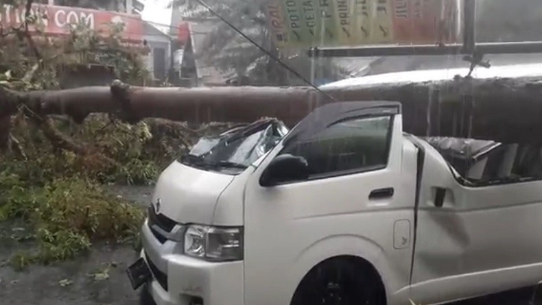 Hujan Disertai Angin Kencang di Medan, Pohon Tumbang Hantam Dua Mobil hingga Ringsek