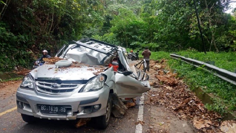 Mobil Pemudik Ringsek Tertimpa Pohon Tumbang di Bengkulu, 1 Orang Tewas