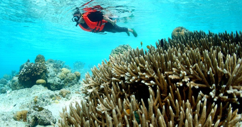 Selain Bahagia, Berikut 5 Manfaat Snorkeling untuk Kesehatan