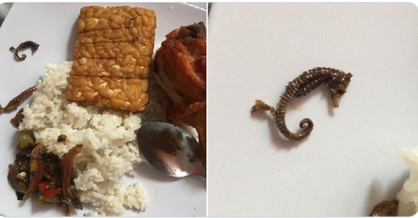 Viral, Pesan Ikan Asin di Rumah Makan yang Datang Malah Kuda Laut