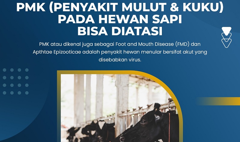 Satgas Pangan Jatim Minta Masyarakat Tak Panik PMK, Ini Cara Mengatasinya 