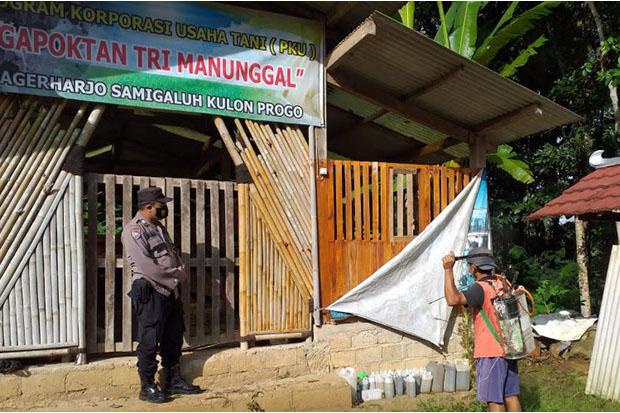 Waspada, Penyakit Mulut dan Kuku pada Ternak Ditemukan di Kulonprogo
