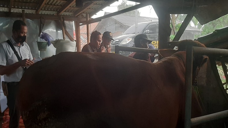 Antisipasi Wabah PMK pada Ternak, Begini Langkah Polda Jateng