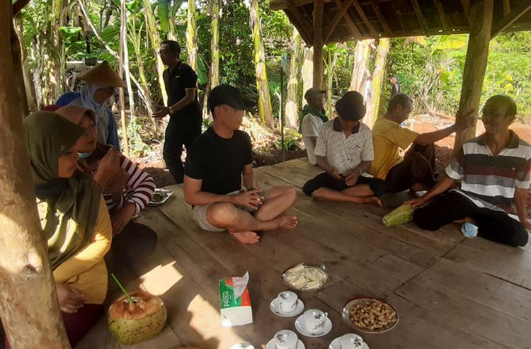 Nostalgia Waktu Kecil, Bupati Gunungkidul Sunaryanta Ikut Petani Panen Kacang