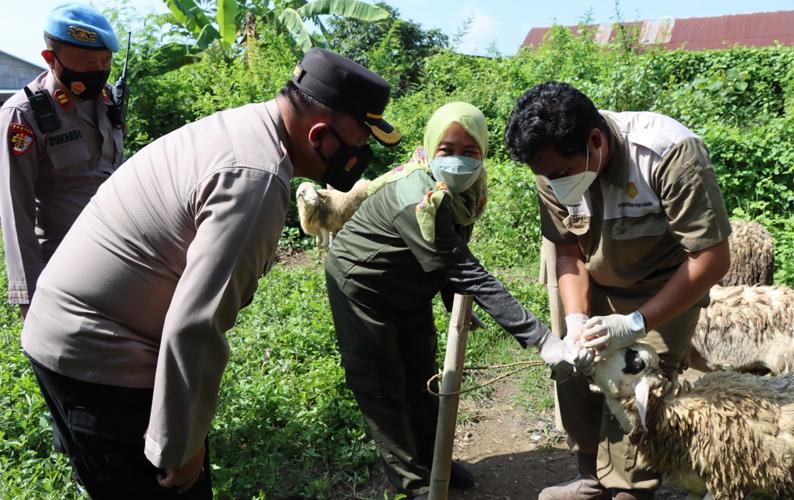 Respons Instruksi Kapolri, Kapolres Demak Blusukan ke Kandang dan Pasar Hewan
