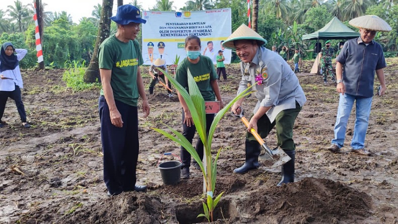 Kementan Dorong Petani Sulut Terus Budidayakan Kelapa, Bantuan Rp21,93 Miliar Dikucurkan