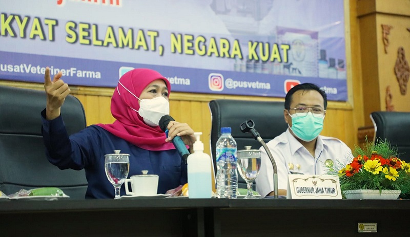 Zona Hijau PMK, 15 Kabupaten-Kota di Jatim Bisa Suplai Sapi ke Daerah Lain