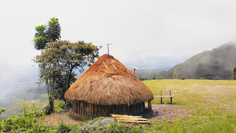 8 Macam Rumah Adat di Papua, dari Honai sampai Rumah Pohon