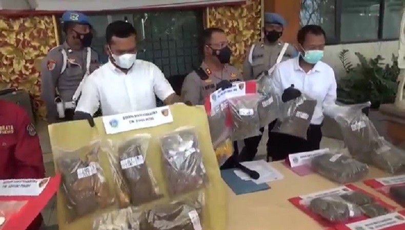 Pengakuan Anak Ketua DPRD Badung Konsumsi Ganja 6 hingga 8 Linting Per Hari