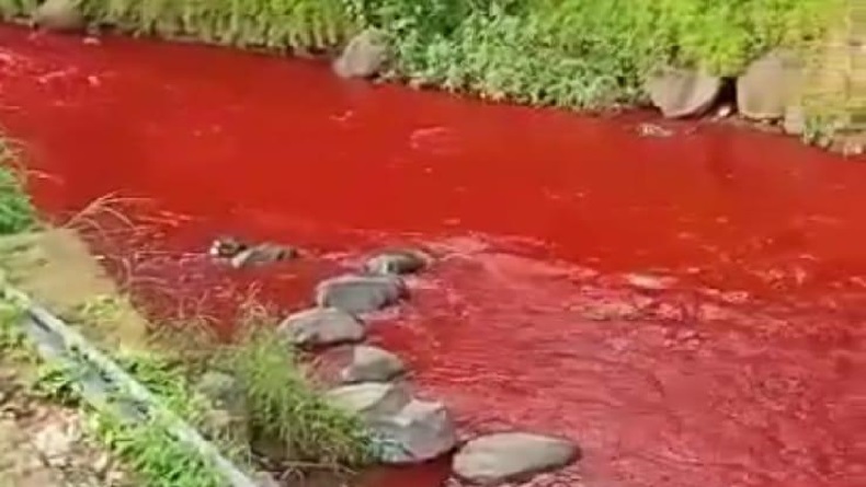 Terungkap! Ini Hasil Laboratorium yang Membuat Air Sungai Cimeta Jadi Merah Darah 