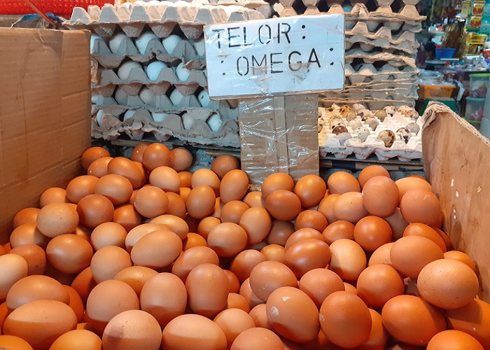 Harga Telur Makin Mahal, Pedagang Sepi Pembeli