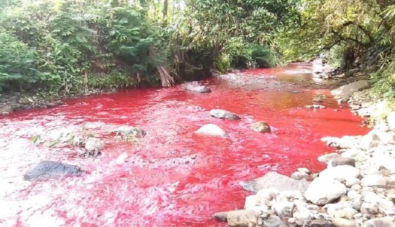 Sungai Cimeta Berwarna Merah Darah, DLH KBB Belum Terima Laporan Ikan Mati
