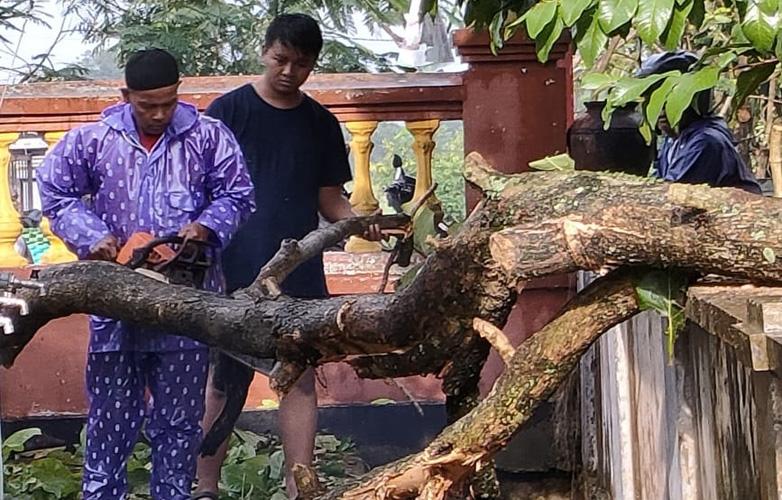  Hujan Angin Landa 4 Kecamatan di Klaten, Sejumlah Akses Jalan Tertutup Pohon Tumbang