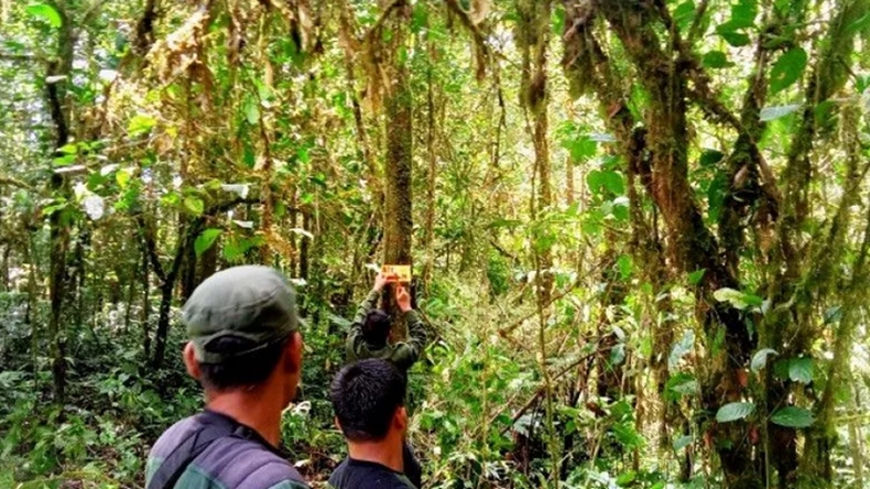 Jalur Pendakian Gunung Kerinci dari Solok Selatan Dibuka, Tapi Khusus Pendaki Senior