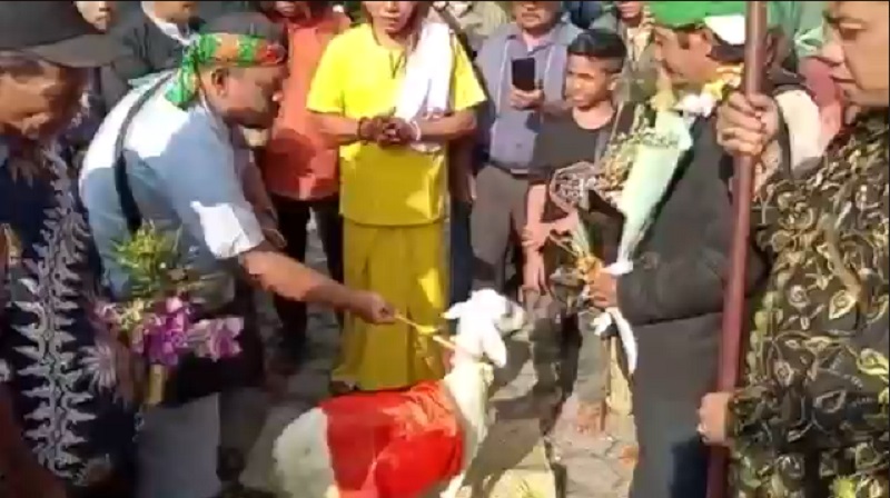 Heboh Pernikahan Manusia dengan Kambing di Gresik, Polisi Periksa 18 Saksi 