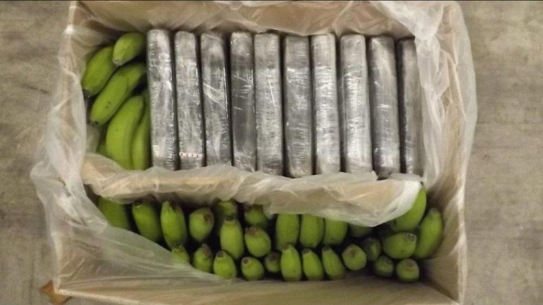  Kokain Senilai Rp1,2 Triliun Ditemukan Dalam Kardus Pisang