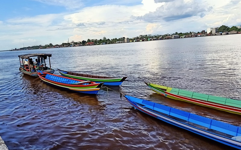 Asal Usul Pulau Kalimantan Disebut Borneo, Konon Nama Sebuah Pohon