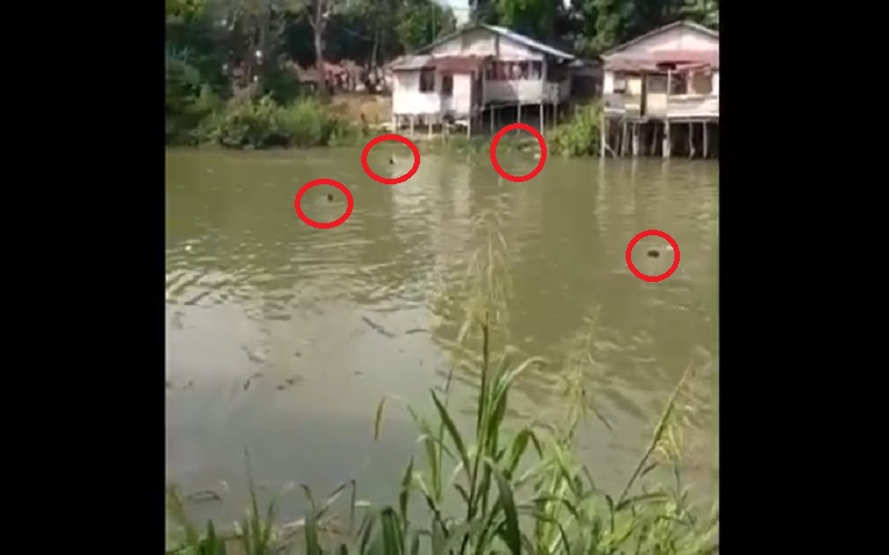 Video Viral Belasan Warga Terjun ke Sungai Deli saat Digerebek Polisi Kasus Narkoba
