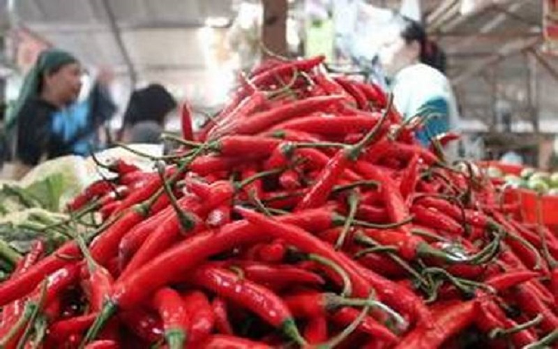 Ini Pemicu Harga Cabai Semakin Mahal Tanpa Terkendali