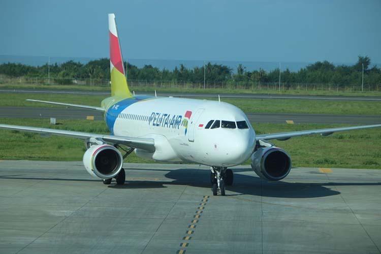 Pelita Air Buka Lowongan Kerja 11 Posisi, Cek Kualifikasinya