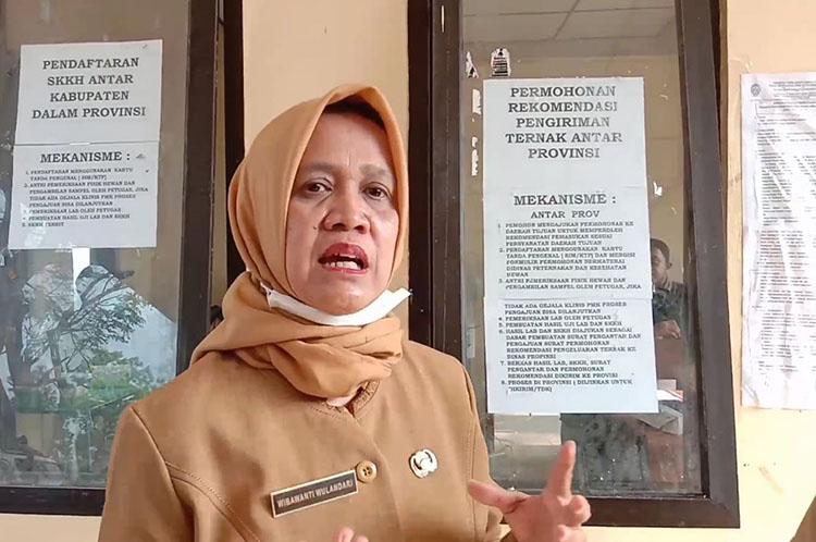 Dapat Alokasi 500 Dosis, Vaksinasi Ternak di Gunungkidul Mulai Juli