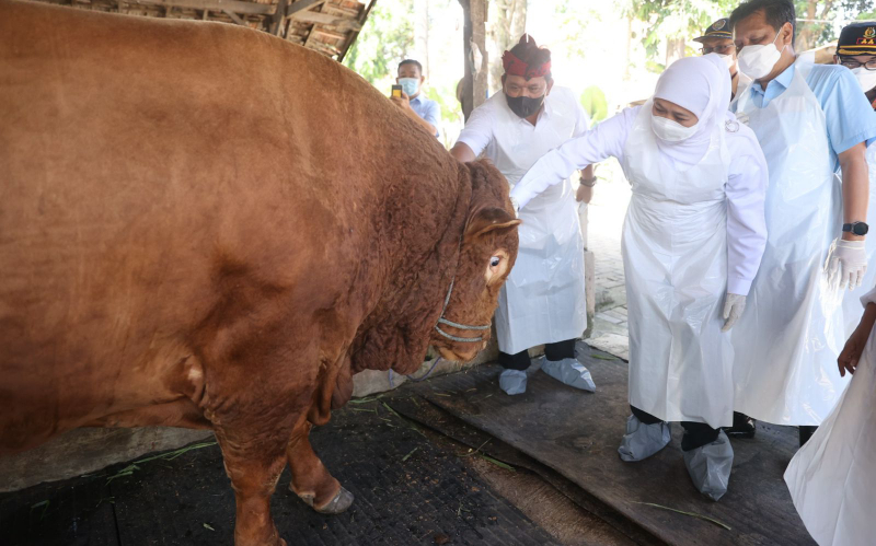 Hari Raya Kurban, Pemprov Jatim Sebar 1.276 Juleha ke Masjid hingga Pesantren