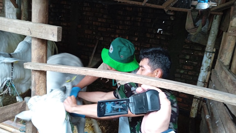 Gembira Dapat Vaksin PMK Gratis, Peternak Kota Sukabumi: Jika Suntik Mandiri Bayar Rp200.000