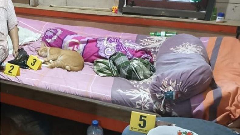 Ibu Muda di Merauke Tewas Gantung Diri, Ada Kucing di Samping Mayat saat Olah TKP