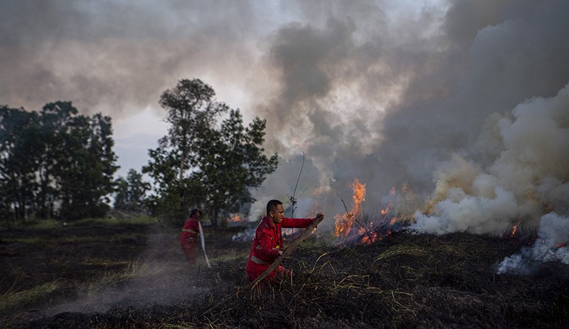 5,5 Hektare Lahan di Aceh Selatan Terbakar, Petugas Kesulitan Padamkan Api